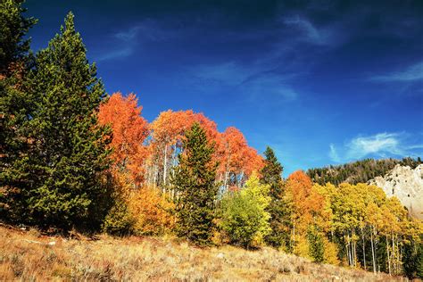 Idaho Autumn Photograph By Vishwanath Bhat Fine Art America