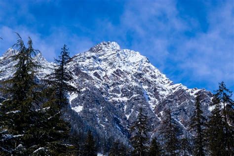 Snow Covered Mountain With Pine Trees At The Bottom Of The Mountain