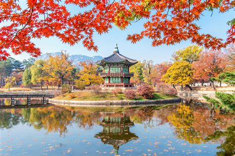 Autumn Leaves Japan And Korea Av Travel