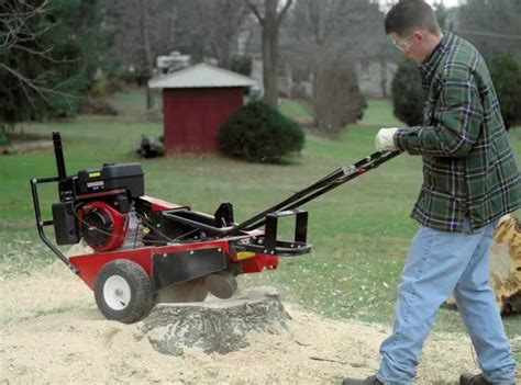 5 Steps To Properly Grind Your Tree Stump With A Stump Grinder