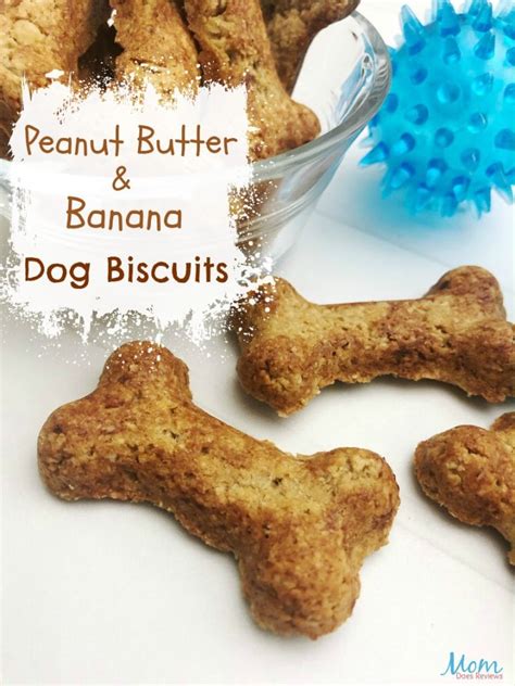 Peanut Butter And Banana Dog Biscuits Recipe Mom Does Reviews