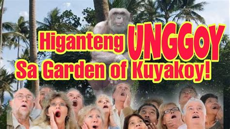 Heganteng Unggoy Umakyat Sa Niyog Ni Garden Of Kuyakoy Youtube