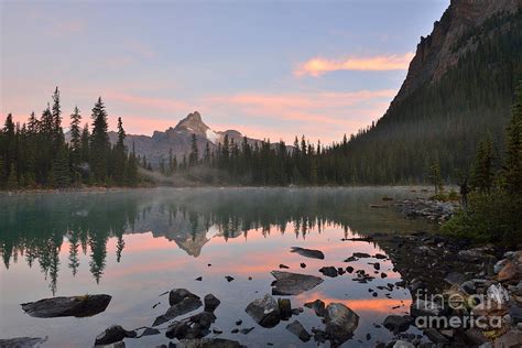 Lake Ohara And Cathedral Mountain Photograph By Lijuan Guo Fine Art