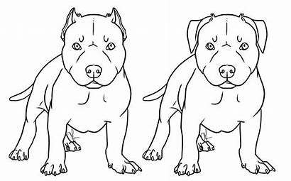 Pitbull Coloring Pages Dog Drawing Puppy Simple