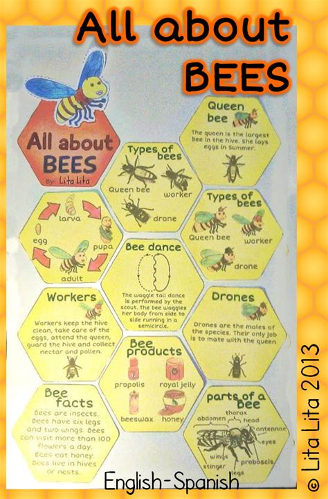 All About Bees Mini Book Bee Activities Bee Classroom Bee Keeping