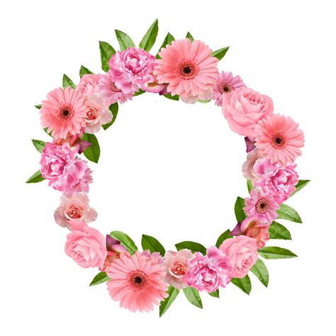 Gambar Bingkai Bunga Merah Muda Romantis Floral Bunga Bulat Bunga