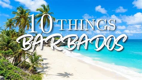 Top Things To Do In Barbados Youtube