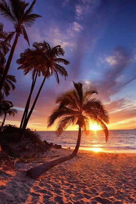 Beach Paradise Beautiful Beach Pictures Sunset Pictures Sunset