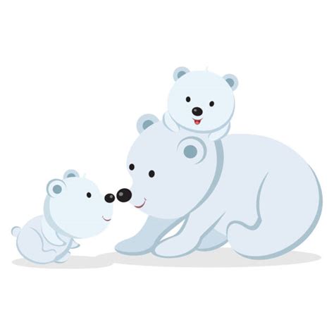 Best Polar Bear Cub Illustrations Royalty Free Vector Graphics And Clip
