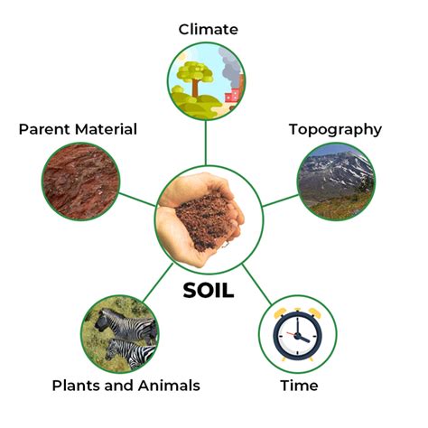 Soil Formation Soil Profile Classification And Faqs 2022