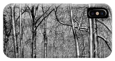 Whitewashed Winter Trees In Black And White Photograph By Rosanne Jordan