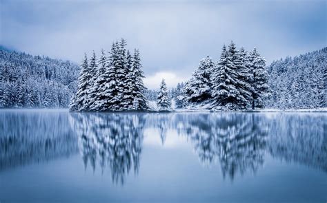 Landscape Nature Lake Forest Hill Overcast Reflection Winter Cold Snow
