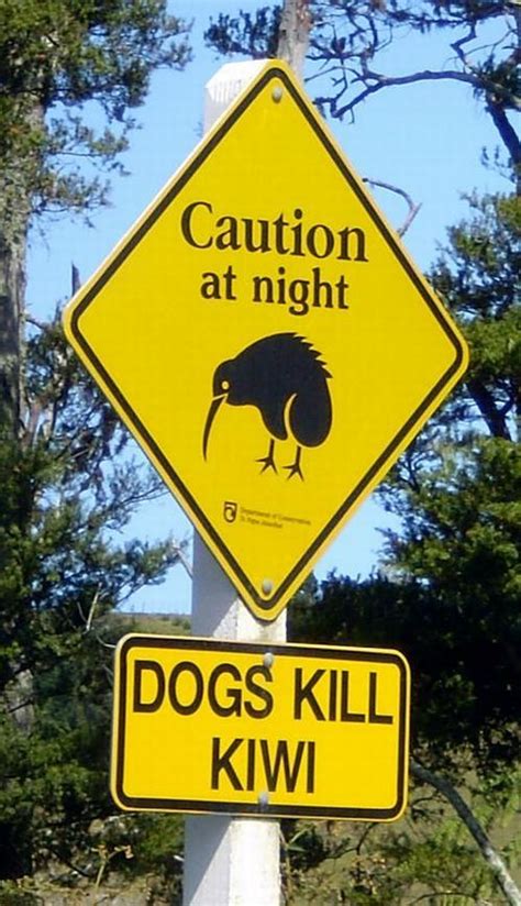 Various Signs Seen Around The World 49 Pics