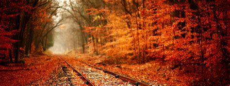 Train Tracks Covered With Autumn Leaves Wallpaper Download 3200x1200