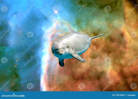 Dolphin In Space Universe Background Look At You Stock Image Image Of