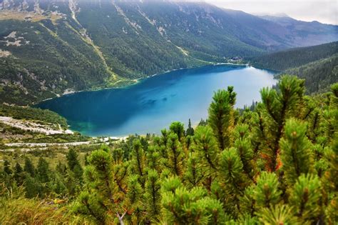 Photography Nature Landscape Lake Forest Summer Tatra Mountains