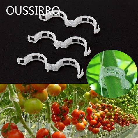 Durable Clear Plant Support Clips Vine Garden Vegetables 23mm For Types