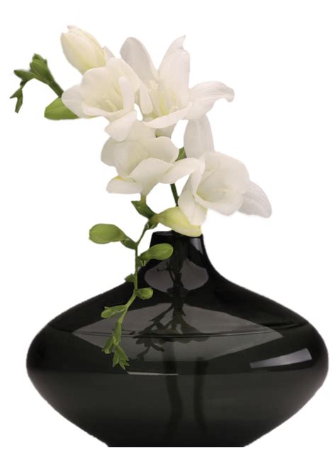 Vase Png Transparent Image Download Size 750x1020px