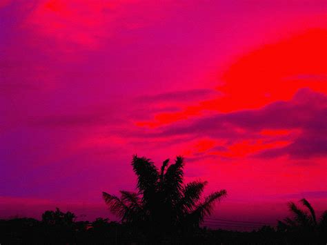 Violet Sunset Photograph By Mark Blauhoefer Fine Art America