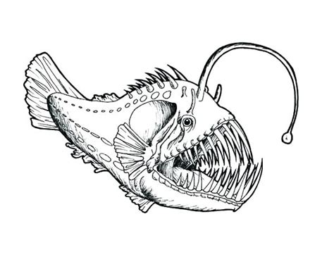 Angler Fish Coloring Page At Getdrawings Free Download