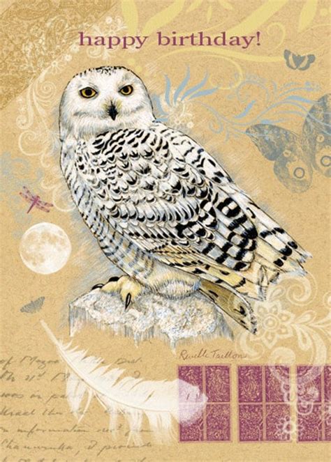 Items similar to Snowy Owl Bird Birthday Greeting Card 5 x 7 inches on Etsy