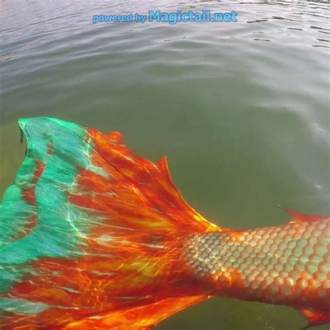 Mermaid Tail Set Copper Fish