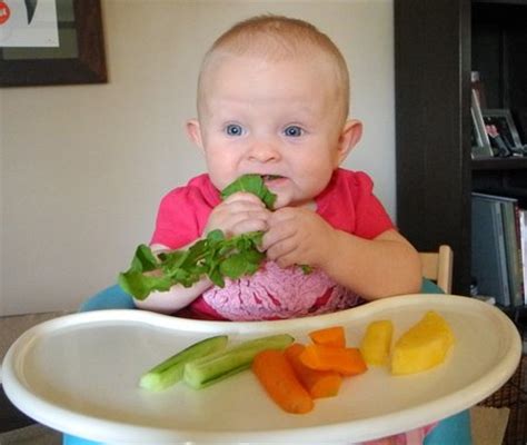 As we dive deeper into baby led weaning, i thought it would be fun to share the meals that little man enjoys. Baby-led Weaning (BLW) - Februar 2014 BabyClub - BabyCenter