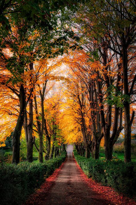 Foliage d'autunno: i luoghi più belli dove fotografarlo in Italia - WeShoot