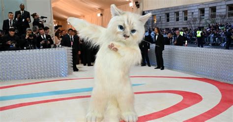 From Doja Cat To Jared Leto Here S Why Celebrities Dressed Like Cats At Met Gala 2023 Red Carpet