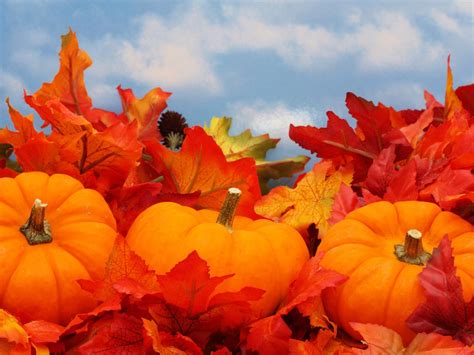 Pin By Jane Eichler On ~ Autumn ~ Fall Pumpkins Pumpkin Pumpkin Pie