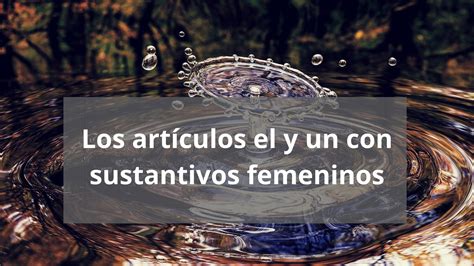Uso De Los Artículos El Y Un Con Sustantivos Femeninos Svf Spanish