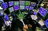 How Do I Invest In Marijuana Industry Photos