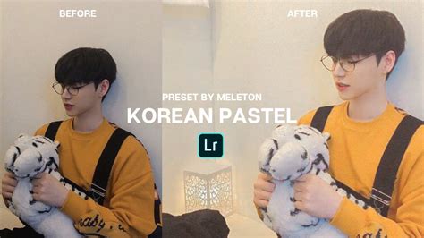 Our pack of presets offer a wide variety of options for. Korean Pastel Preset by Meleton | Lightroom Mobile Preset ...