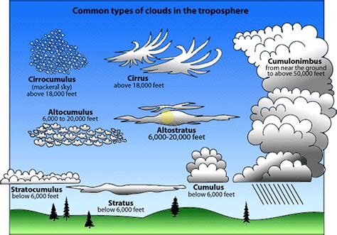 Cloud Types Diagram Center For Science Education