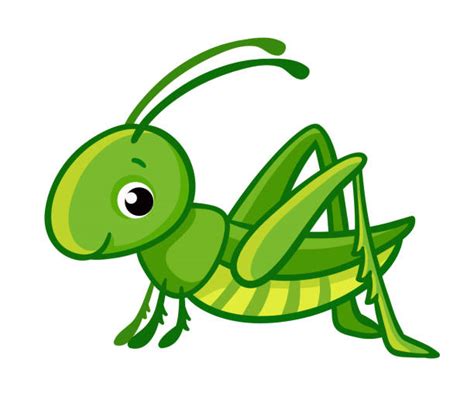 Grasshopper Illustrations Royalty Free Vector Graphics And Clip Art Istock