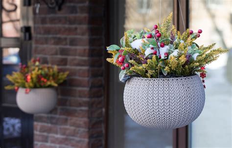 Winter Hanging Baskets Abingdons Complete Garden Service