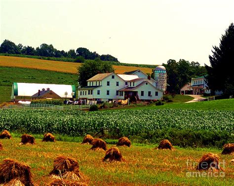 Amish Farm On Laundry Day Photograph By Desiree Paquette Pixels