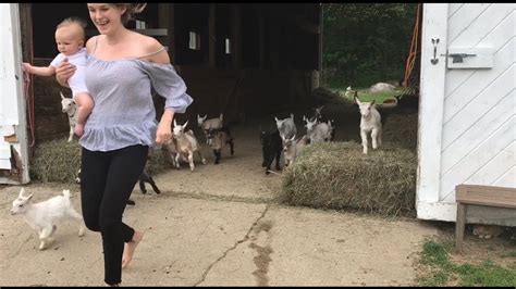Video The Running Of The Goats Viral Viral Videos