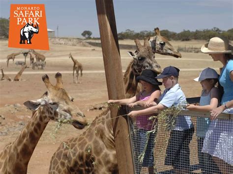 Monarto Safari Park General Admission No Worries Australia