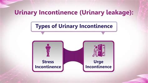 Urinary Incontinence Urine Leakage Youtube