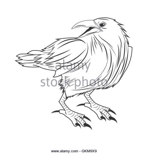 Eagle Landing Drawing At Getdrawings Free Download
