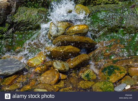 Waterfall Stream With Algae Hi Res Stock Photography And Images Alamy