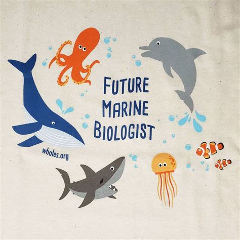 Kids T Shirt Im A Future Marine Biologist Whale And Dolphin