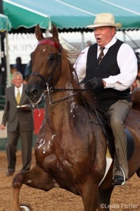 william shatner performing   american saddlebred   natl charity horse show  st