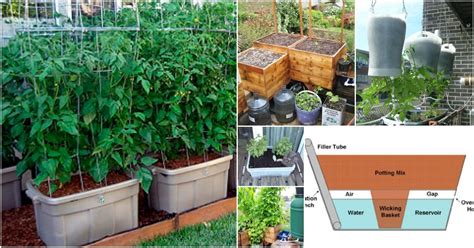How Do Self Watering Pots Work There Is A Water Storage Tank Usually
