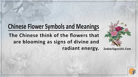 Chinese Flower Symbolism Life Under Their Influence Zodiacsigns101