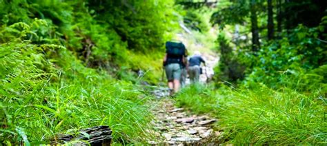 VRBO® | Fancy Gap, VA Vacation Rentals: Reviews & Booking