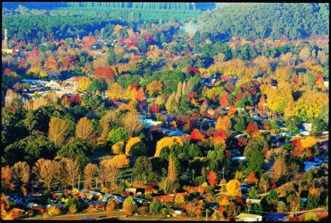 Autumn In The Town Of Bright Victoria Australia Legends Of The