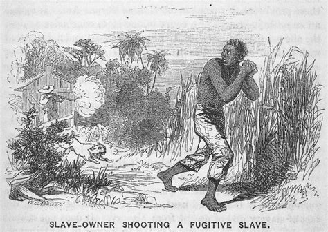 fugitive slave act of 1793 history crunch history articles biographies infographics