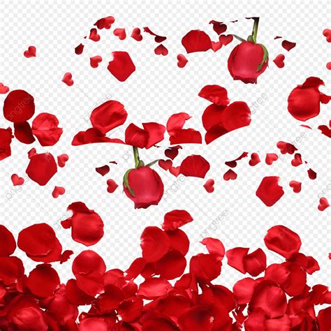 Red Rose Petals Rose Petal Roses Png Transparent Clipart Image And